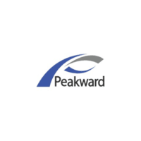 Logo design for Peakward featuring a modern and sleek aesthetic, emphasizing innovation and professionalism